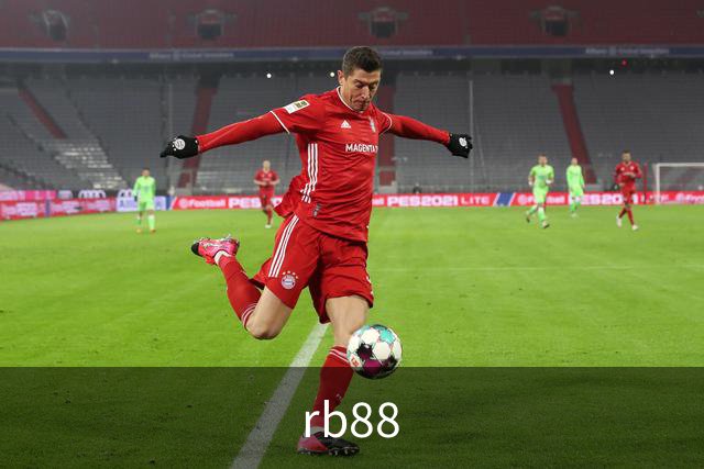rb88公司介绍图片